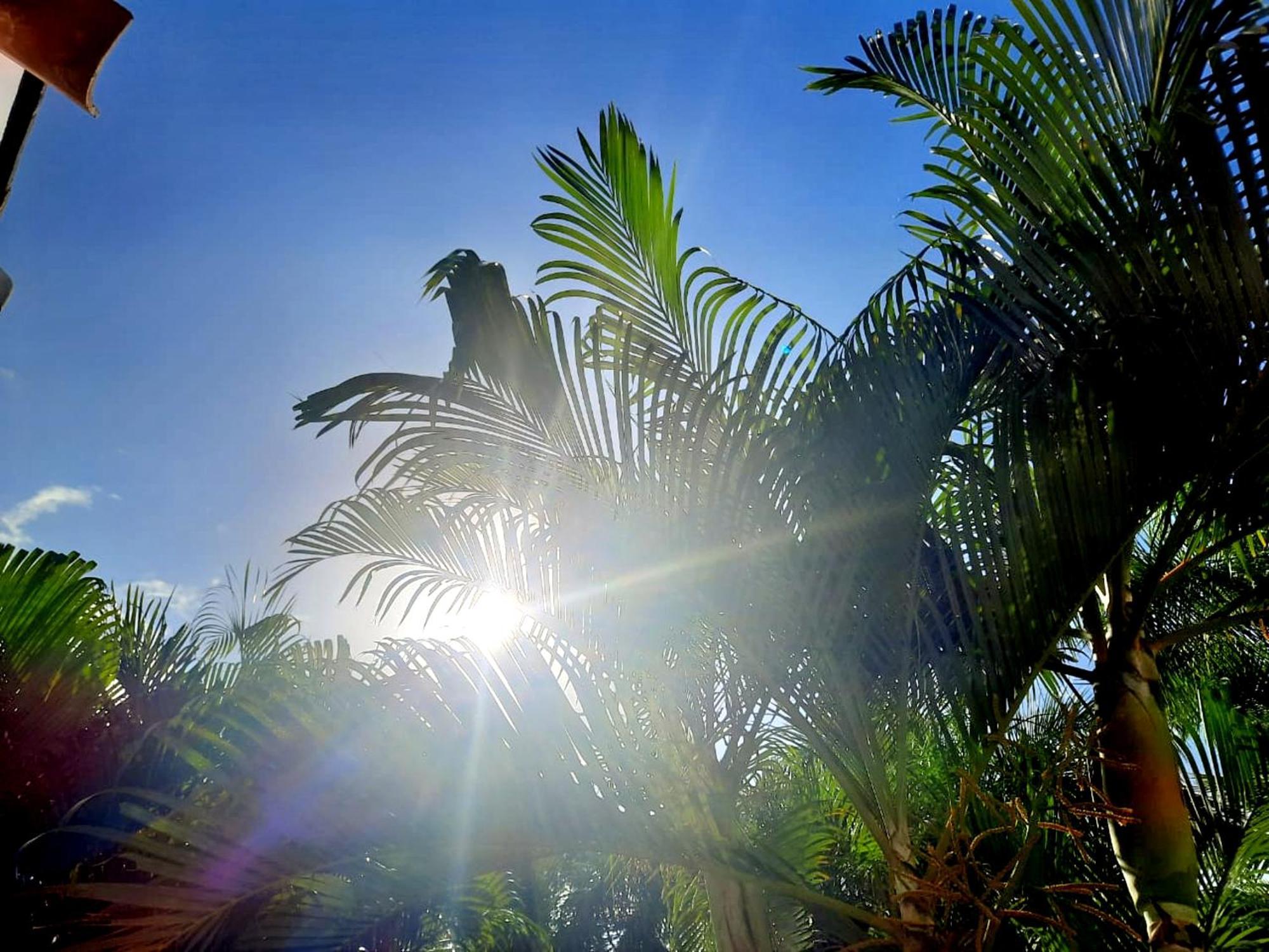 Op Signature Aparthotel & Luxury Villas Pedasi Town Esterno foto